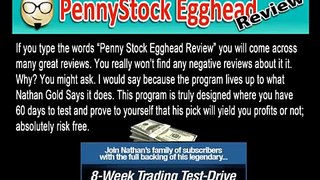 Straightforward Ever So Penny Stock Egghead Review