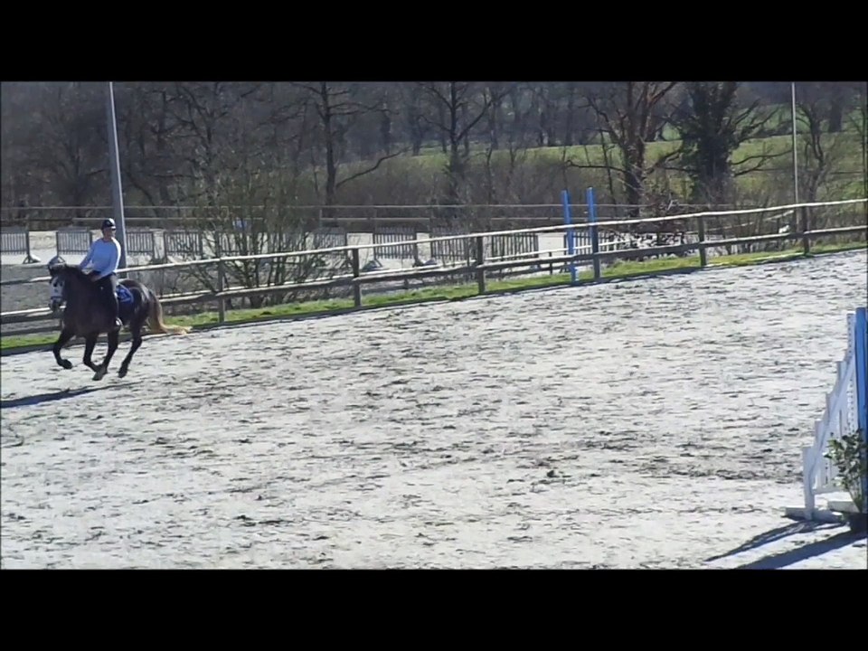 Black Jack du Luot, entraînement jeunes chevaux, Kernascléden 05 / 03 / 2015