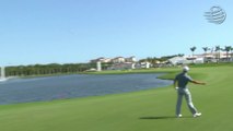 Rory McIlroy chucked his iron 40 yards into the water