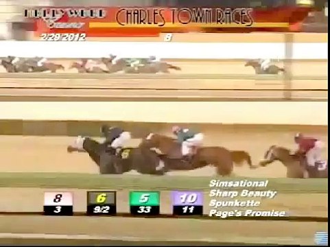 Charles Town Horse Racing Spill Accident Worst Wipeout Ever Seen At Hollywood Casino Race 8