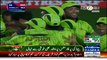Watch the Reaction of Wahab Riaz_#8217;s Family after his Excellent Performance against SA