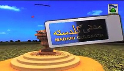 Madani Guldasta   Haji Imran Attari  madni channel free download Video Dailymotion