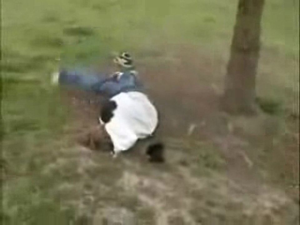 Régis Saute Sur Un Sapin