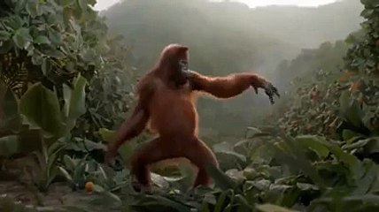 Funny Monkey Dance Honey Singh 2015