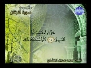 محمد صديق المنشاوي