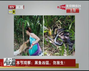 20150307 锐观察 2015-03-07