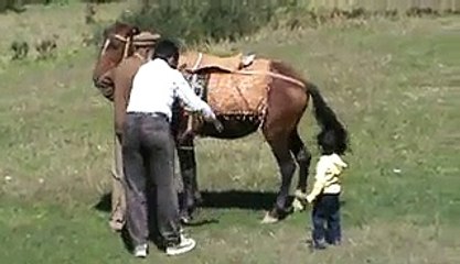 Very Funny Pakistani Horse Rider