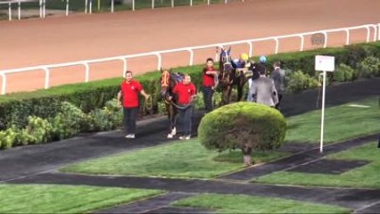 Atlar, "Özgecan Aslan" İçin Yarıştı