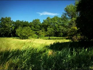Minuscule La Vie privée des insectes saison 1 E43 Un Radiateur Pour Deux