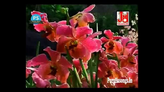 Purulia Bangla Songs Hits Video - Kothai Pabo Tomai - O Pardeshiya - Champa Das