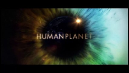 Planet der Menschen - 4v8 - Dschungel - Die grüne Wildnis - 2010 - by ARTBLOOD