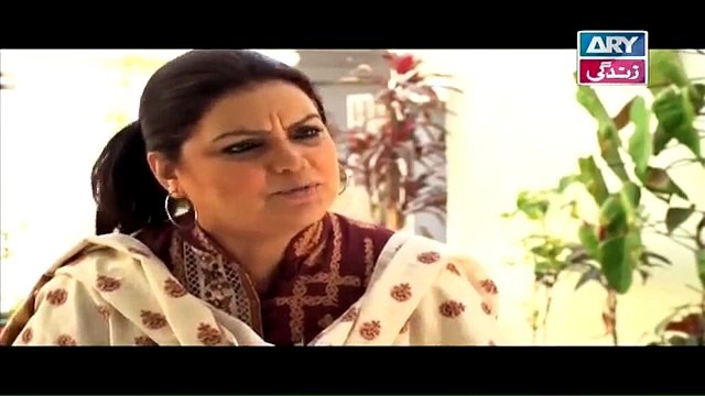 Meka Aur Susraal Episode 42 - ARY Zindagi