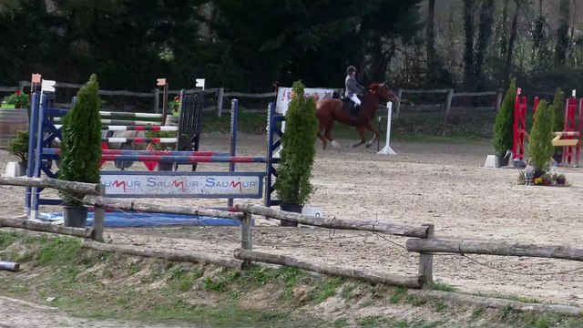 gold horse ball 1,10 mars 2015