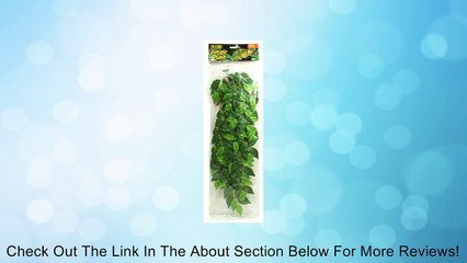 Exo Terra Silk Terrarium Plant Review