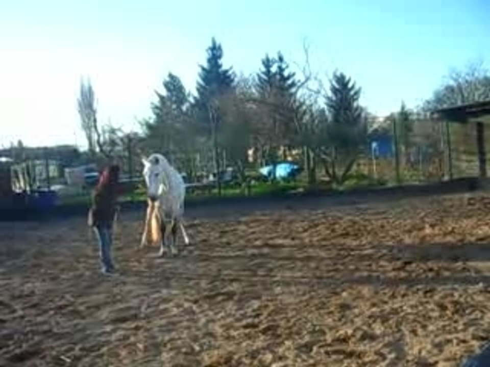 IMGP0339