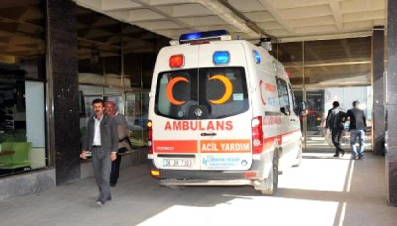 Van'da Mers Şüpesi