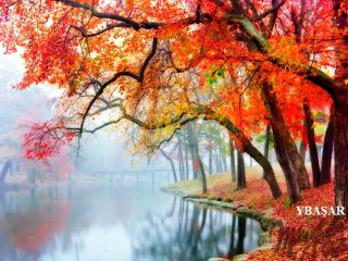 KUBAT - KESİK ÇAYIR