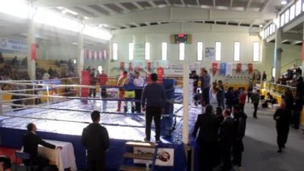 Muay Thai Bölge Şampiyonası