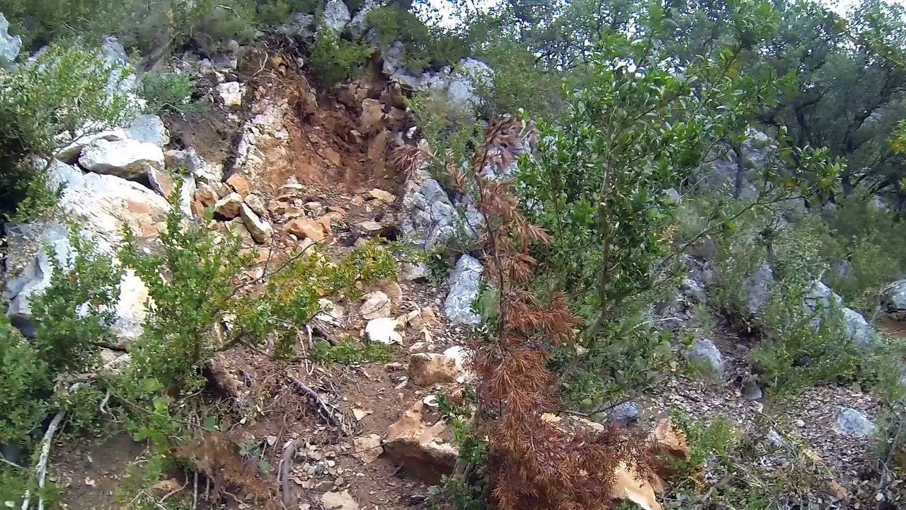 gopro pino de bureba