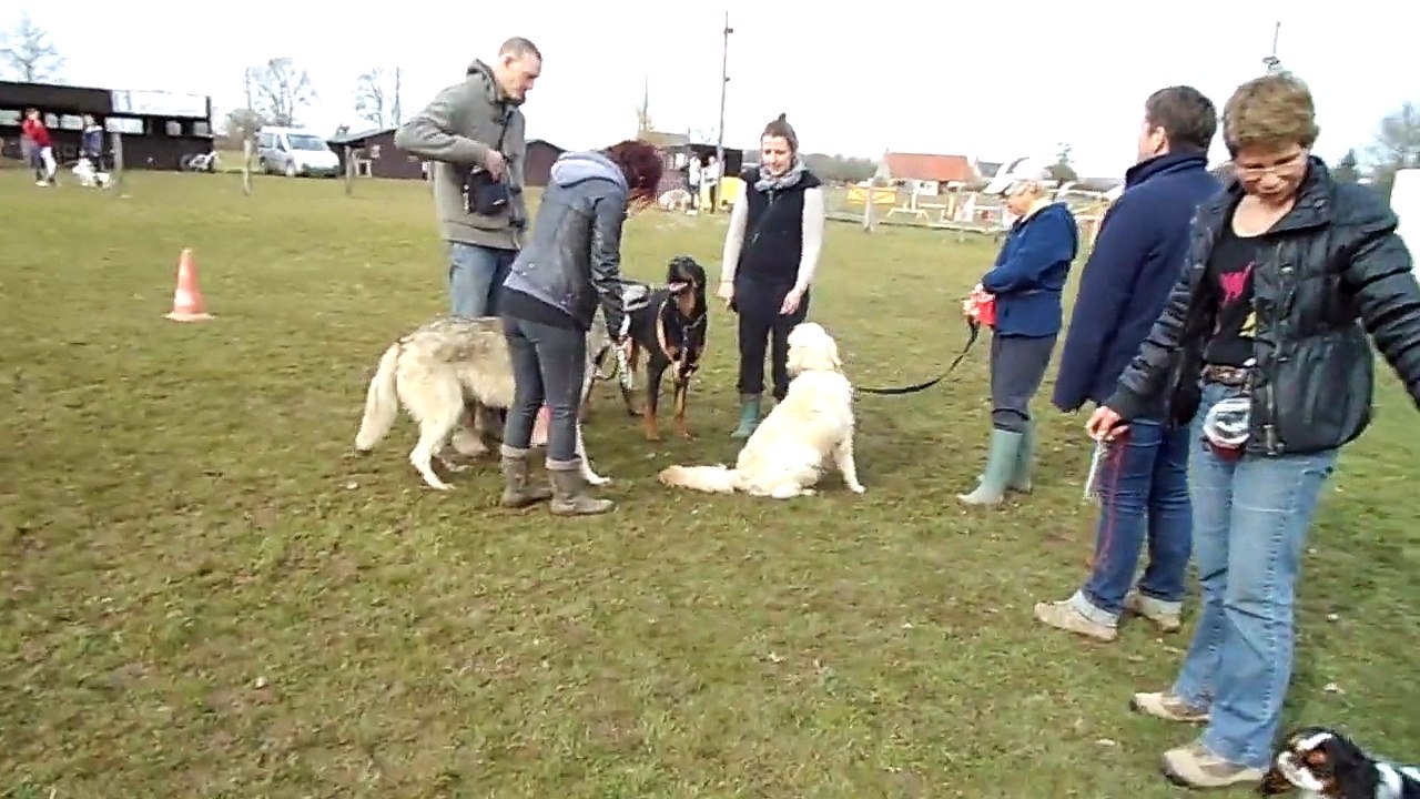 DE LA VERTE ALBION 2015 08