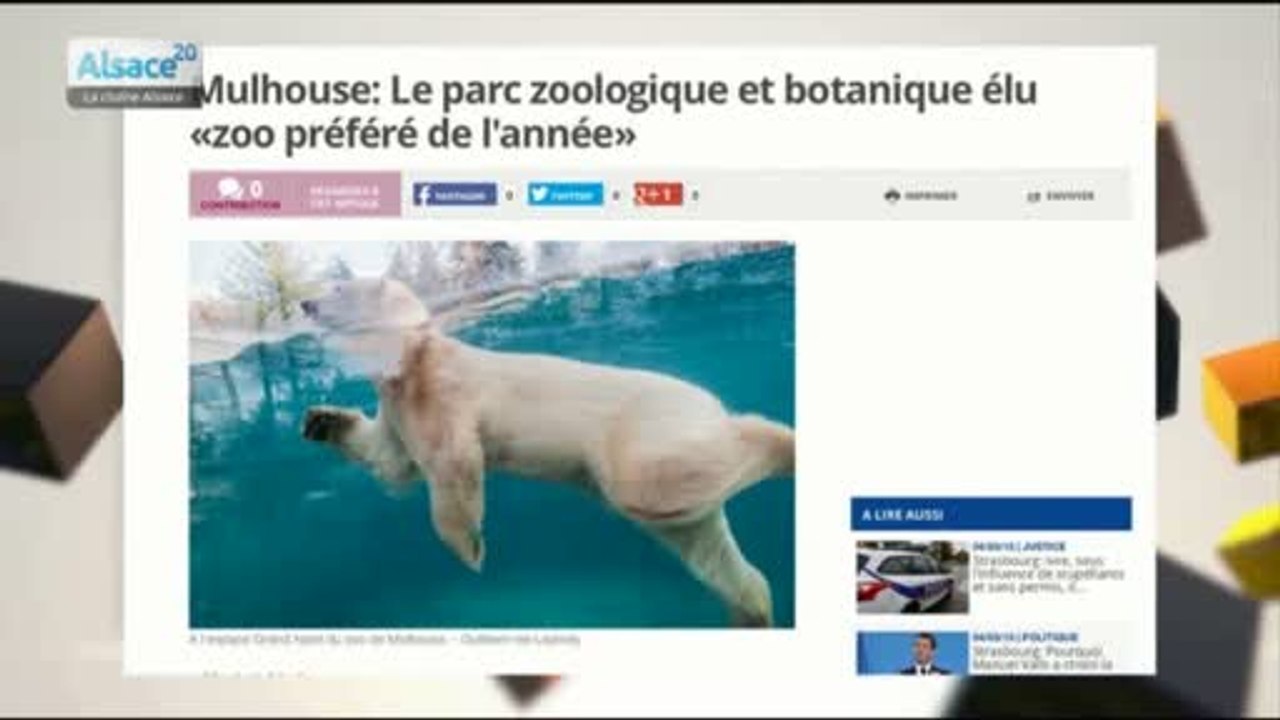 Le zoo de Mulhouse, meilleur zoo de l'année !