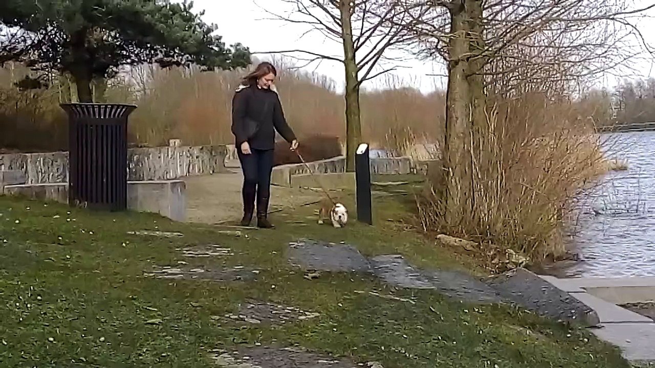petite balade en laisse avec Javanaise