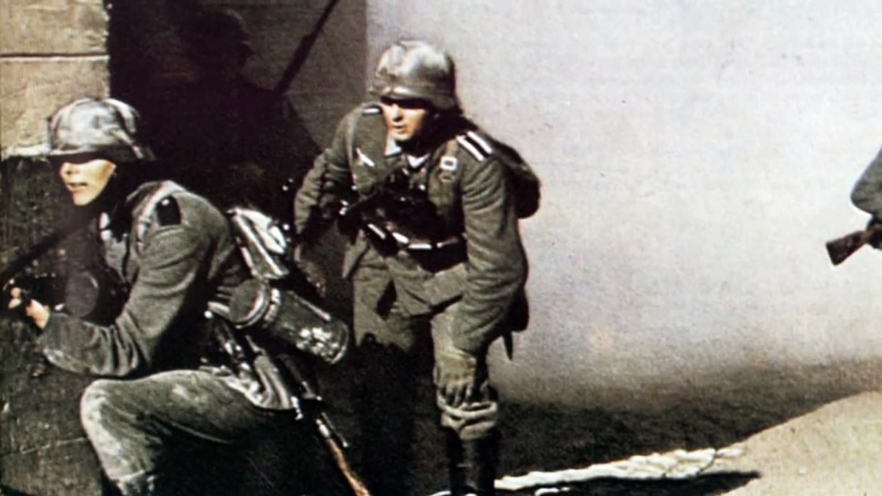 World War 2 Tribute - Junge Birken