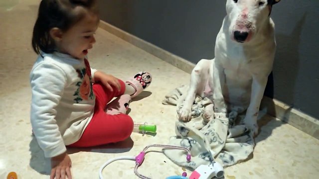 Neckar, le plus patient de tous les chiens