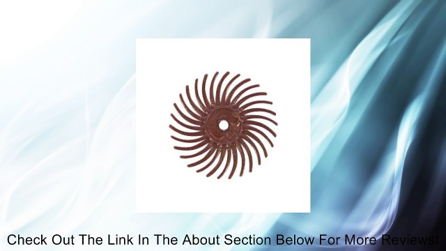 3m Radial Disc 3/4in, 220g (red) - BRS-580.50 Review