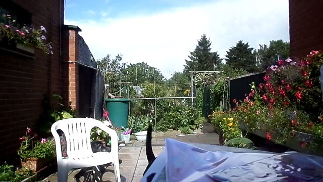 Test de la Happy cut Artemio