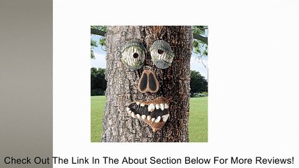 Zombie Outdoor Tree Face Review