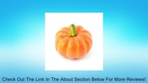 3.54 inch Artificial Pumpkins Halloween Props Pumpkin Decorations Review