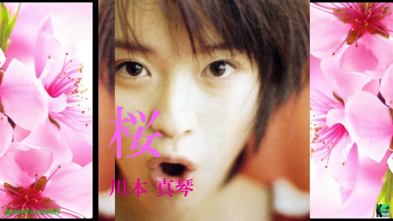 川本 真琴 桜