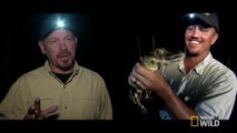 Python Hunters - Catching Black Caimans