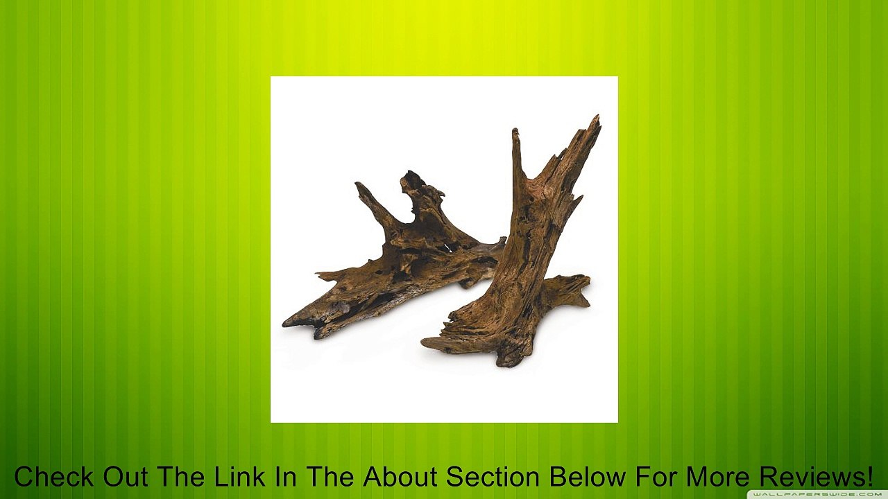 Zilla 09669 Malaysian Driftwood, size varies from 10 inches - 12 inches Review