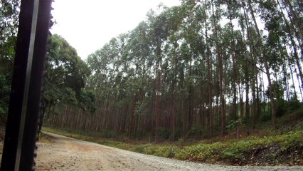Mtb, 25 amigos, Trilha de Caçapava Velha, no Bar do Jonas, 50 km, Marcelo Ambrogi, Taubike, amigos, SP, Brasil, (8)