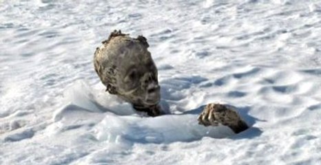 Buzlar Eridi, 55 Yıllık Cesetler Ortaya Çıktı