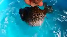 我會生氣喔