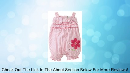 Little Me Baby-Girls Newborn Flower Patch Sunsuit Review