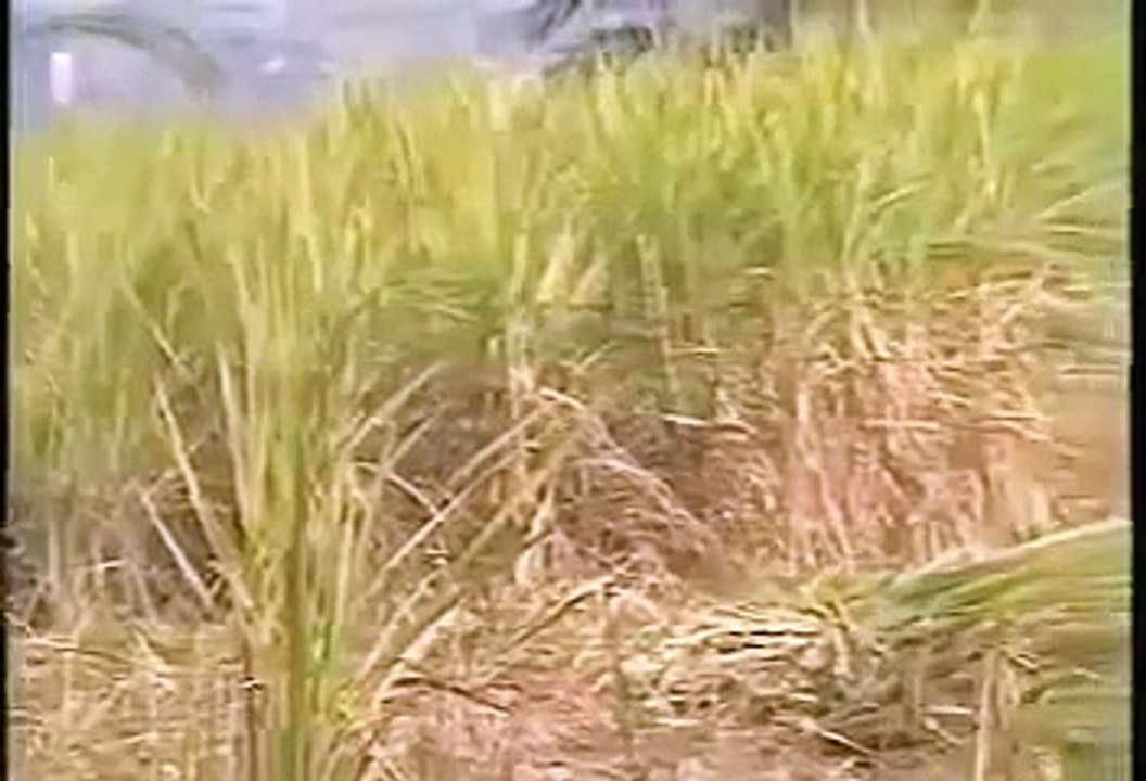 EGYPT  THE HABIT OF CIVILIZATION   Discovery History Travel Egyptian   Full documentary