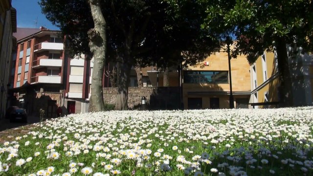 Concurso marcapáginas por 150 aniversario de Alicia en el País de las Maravillas