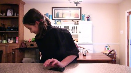 Bratayley's Not My Arms Challenge | OMMyGoshTV