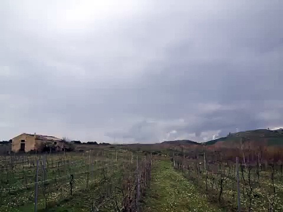 MeteoReporter Salemi 7/03/2015