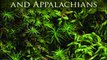 Download Common Mosses of the Northeast and Appalachians ebook {PDF} {EPUB}