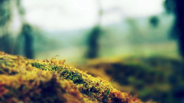 강남오피 《 ж 오피조이-OPJoy1.com ж 》 강남오피 추천, 강남 오피, 강남오피걸, 강남오피정보, 강남 오피추천 (๑╹o╹)φ