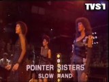 POINTER SISTERS 