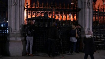 Man arrested after scaling Houses of Parliament roof