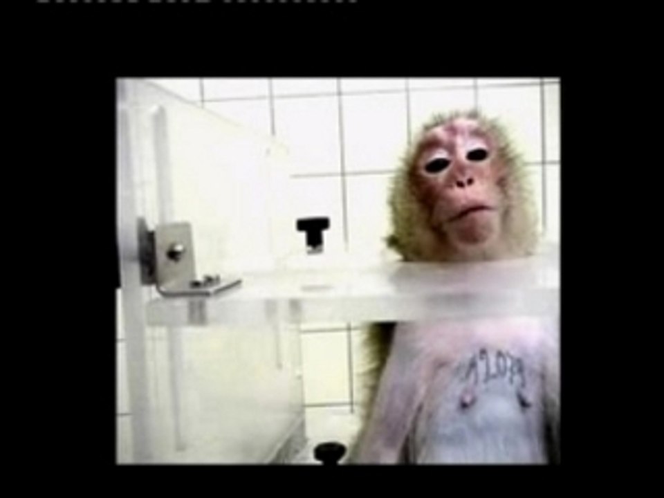 Do You Support Animal Cruelty?