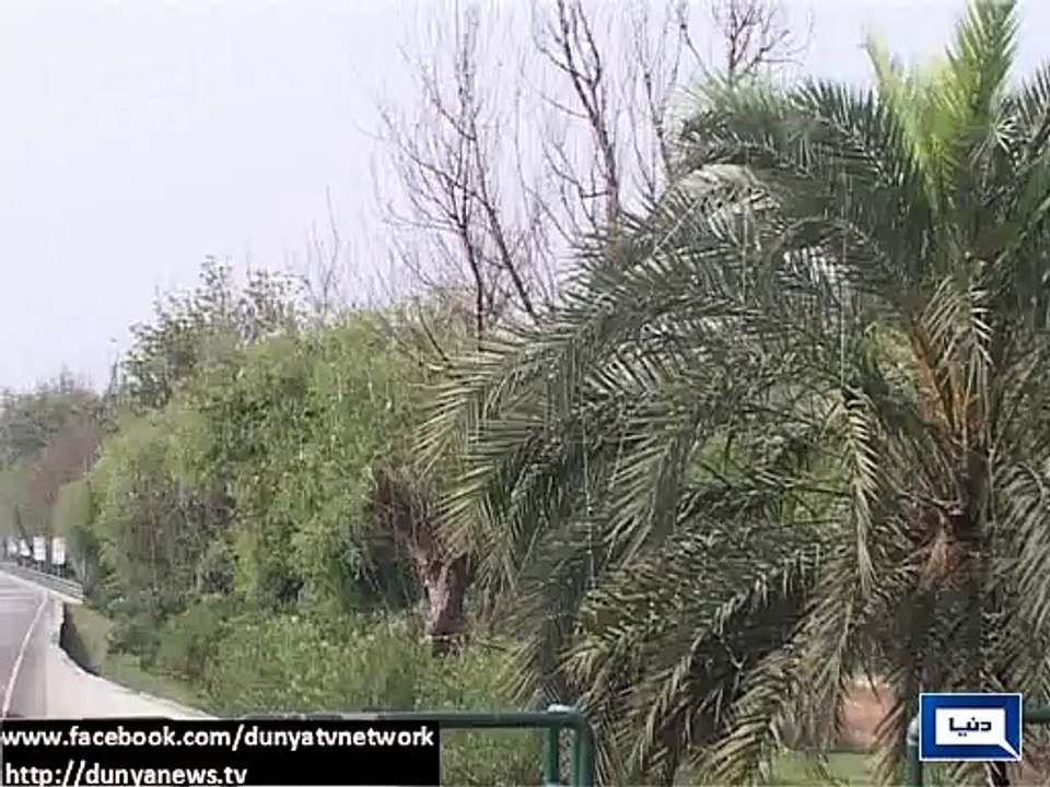 Dunya News - Rain hits various cities