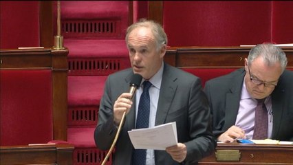Réforme de la "postulation" des avocats : un député UMP craint la création de "déserts juridiques"